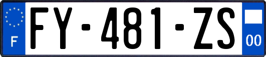 FY-481-ZS