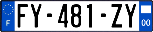 FY-481-ZY