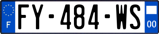 FY-484-WS