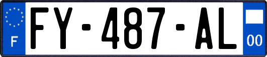 FY-487-AL
