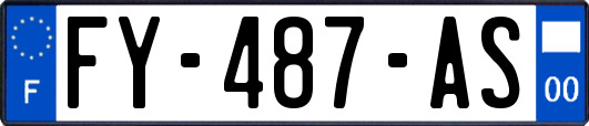 FY-487-AS