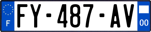 FY-487-AV