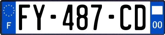 FY-487-CD