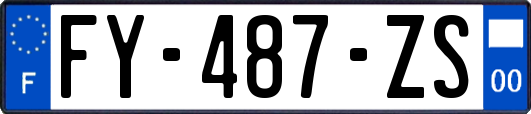 FY-487-ZS