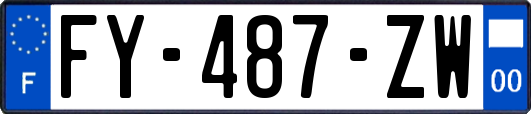 FY-487-ZW