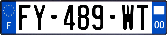 FY-489-WT