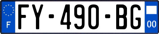 FY-490-BG