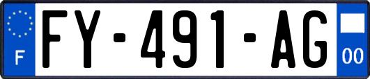 FY-491-AG