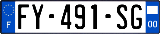 FY-491-SG