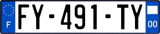 FY-491-TY