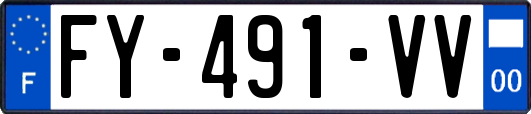 FY-491-VV