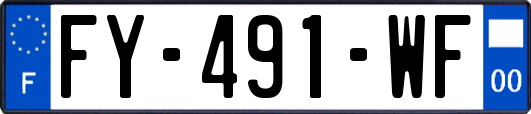 FY-491-WF