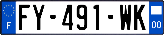FY-491-WK