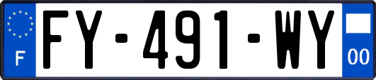 FY-491-WY