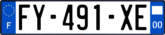 FY-491-XE