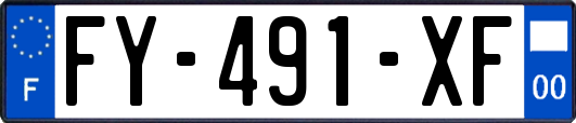 FY-491-XF