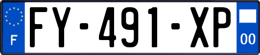 FY-491-XP