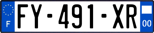 FY-491-XR