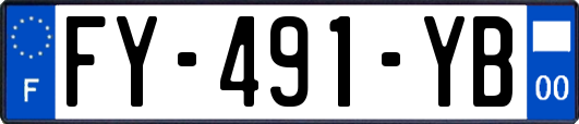 FY-491-YB