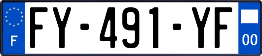 FY-491-YF