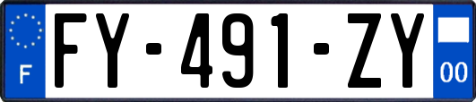 FY-491-ZY