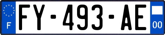 FY-493-AE