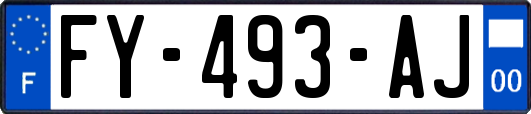 FY-493-AJ
