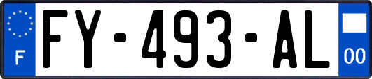 FY-493-AL