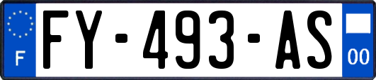 FY-493-AS