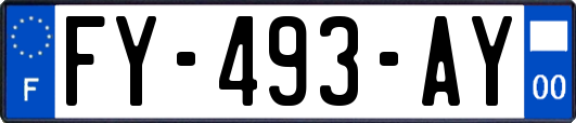 FY-493-AY