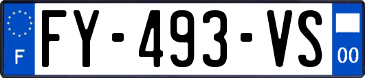 FY-493-VS