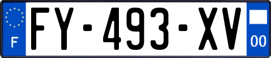 FY-493-XV