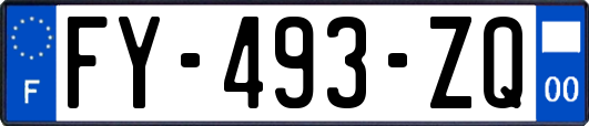 FY-493-ZQ