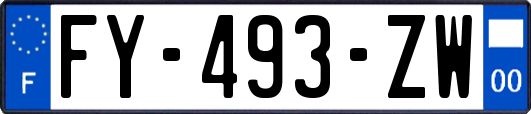 FY-493-ZW