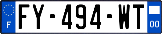 FY-494-WT
