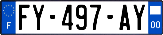 FY-497-AY