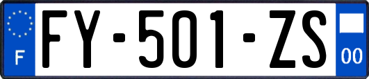 FY-501-ZS