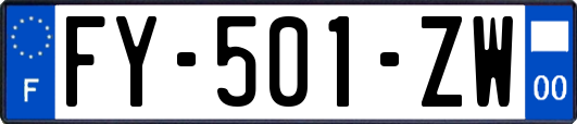 FY-501-ZW