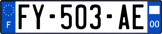 FY-503-AE