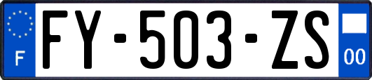 FY-503-ZS