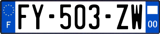 FY-503-ZW