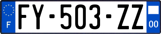 FY-503-ZZ