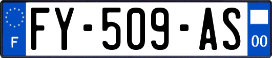 FY-509-AS