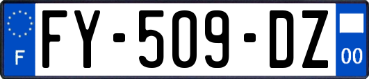 FY-509-DZ
