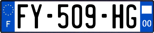 FY-509-HG