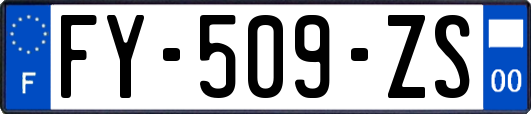 FY-509-ZS