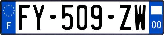 FY-509-ZW