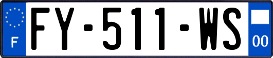 FY-511-WS