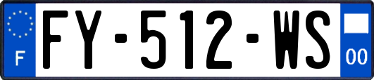 FY-512-WS