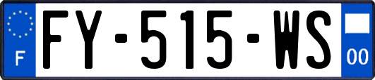 FY-515-WS